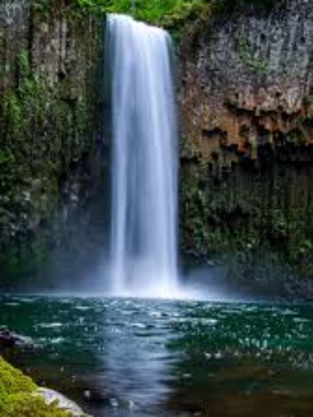 भारत के 5 सबसे खूबसूरत झरने जो प्रकृति प्रेमियों को मंत्रमुग्ध कर देंगे