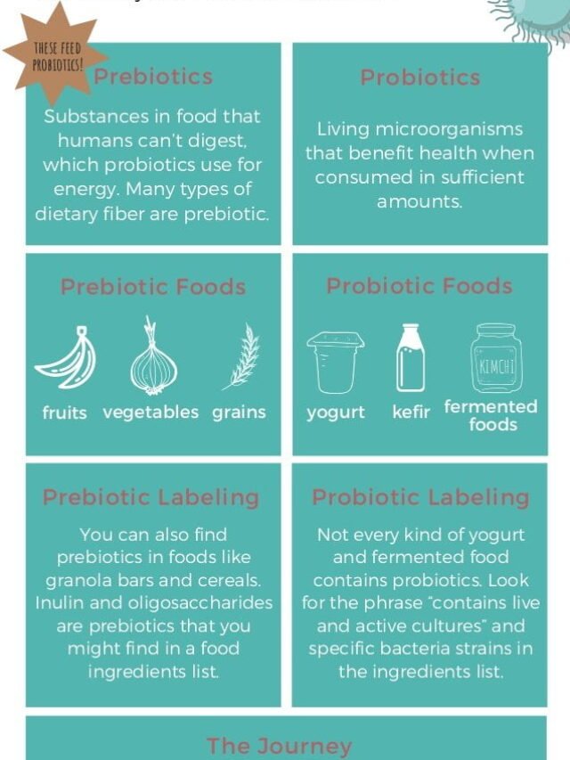 2025 में होलिस्टिक हेल्थ की दिशा — गट-हेल्थ, DNA-आधारित पोषण और हार्मोनल वेलनेस